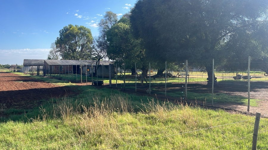 Commercial Property for Sale in Arcadia SH Free State